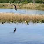 Lake Rosalie Park and Campground