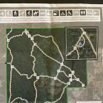 Green Swamp Wilderness Preserve - Hampton Tract