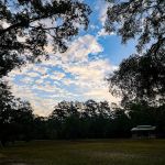 Camp Joy Group Camping