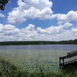 Lake Louisa State Park