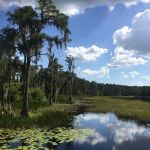 Lake Louisa State Park Tours & Activities