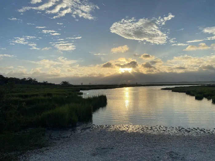 Assateague National Seashore Campground 0