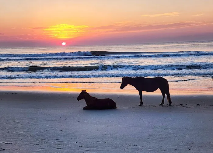 Assateague National Seashore Campground 4