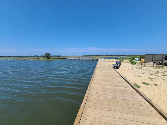 Assateague National Seashore Campground 8