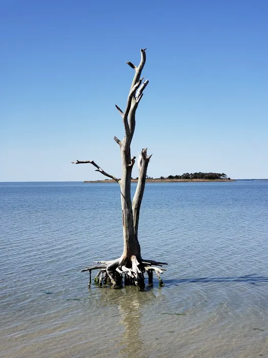 Assateague National Seashore Campground 9