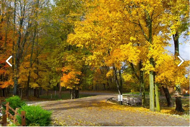 Terre Haute Campground 5
