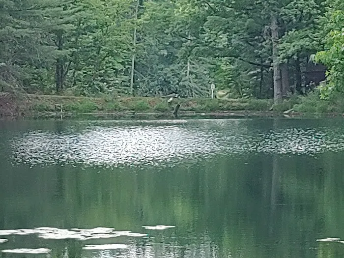 Hillbilly Acres Campground LLC 5