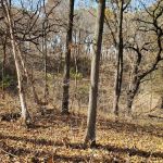 Prairie Flower Recreation Area
