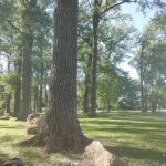 Bulger's Hollow Recreation Area