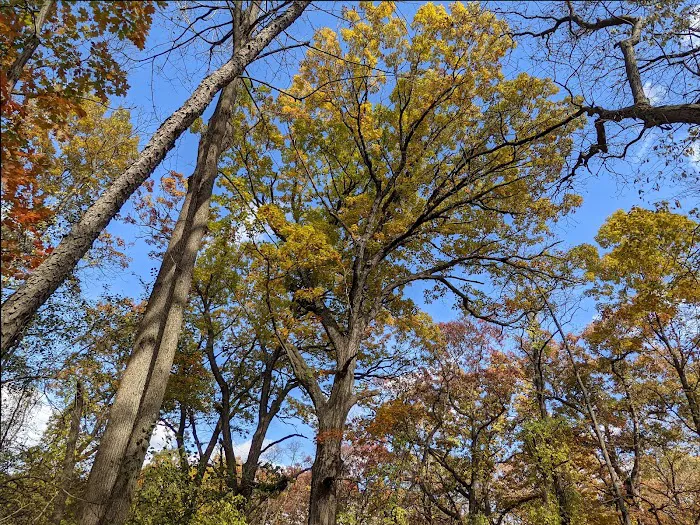 W. R. Wadewitz Nature Camp 4