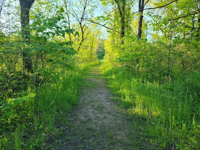 W. R. Wadewitz Nature Camp 5