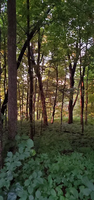 Wisconsin Ridge Campground 8