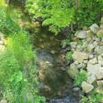 Fillmore Recreation Area Campground