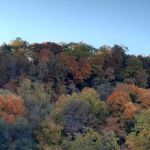 Great River Road RV Campground