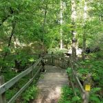 Graham Cave State Park