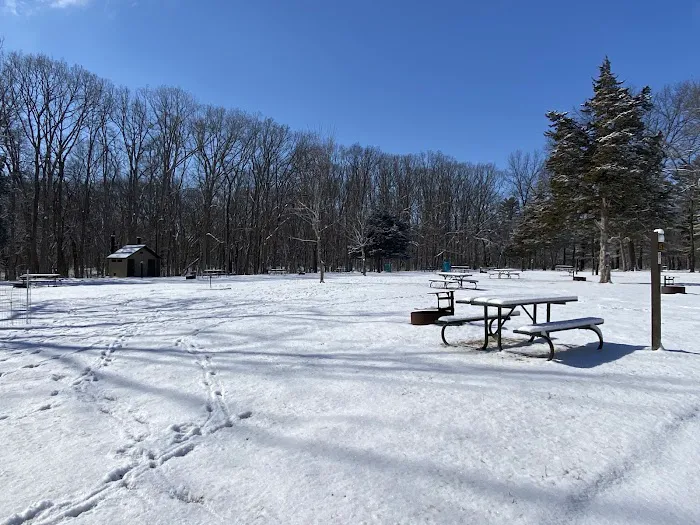 Wildcat Den Campground 3