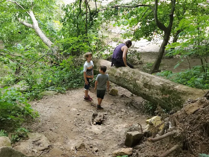 Wildcat Den Campground 2