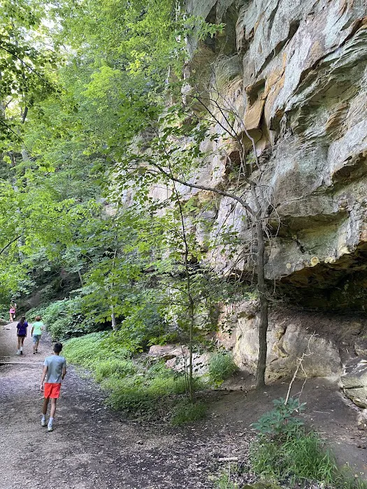 Wildcat Den Campground 8
