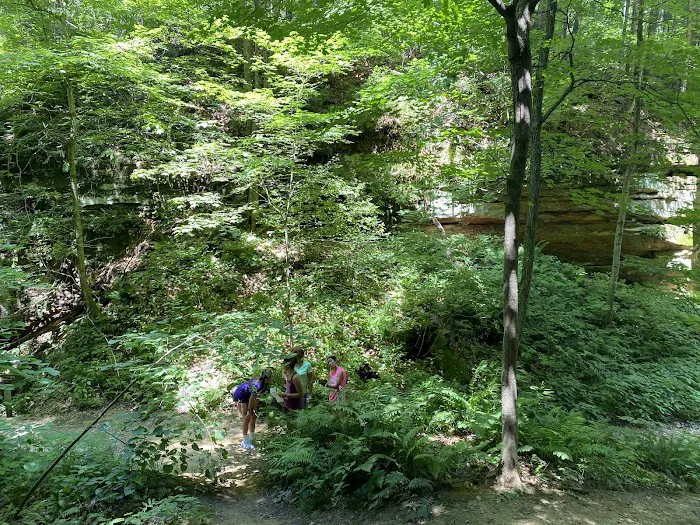 Wildcat Den Campground 9