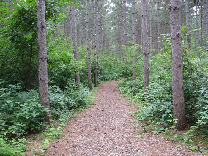 Silver Springs Campground LLC 3