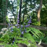 Mississippi Bend Campground & R.V. Park