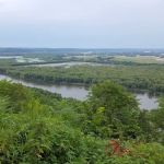 Wyalusing Hardwood Forest