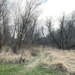 Buck Creek County Park