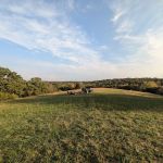 Binder Park Campground