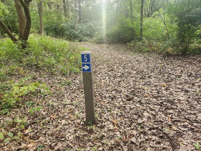 Camping Site 5 0