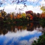 The Waller events and camping