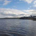 Fiddler's Green Log Tourist Cabins