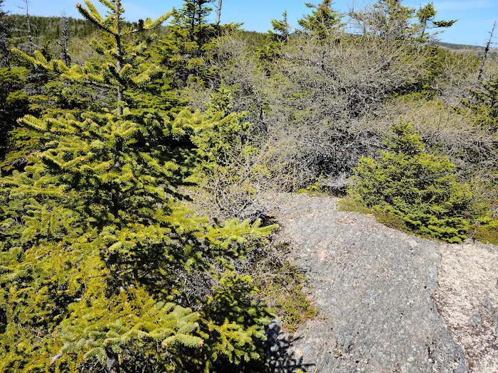 Outside Pond RV Park 1