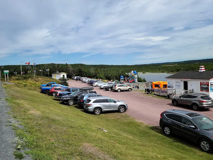 Outside Pond RV Park 3