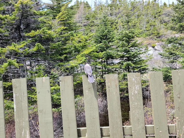 Outside Pond RV Park 2