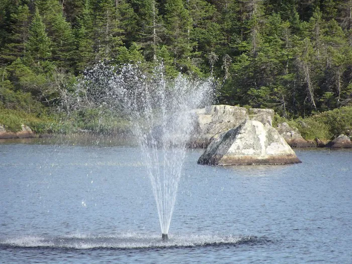 Outside Pond RV Park 7