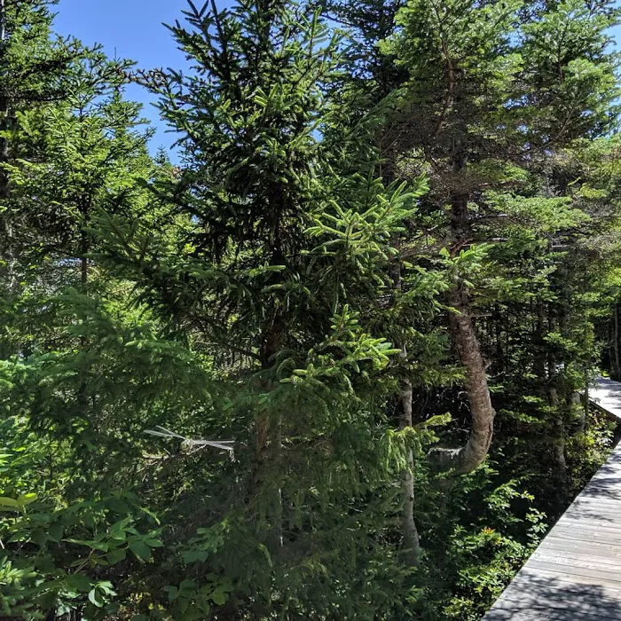 Outside Pond RV Park 9