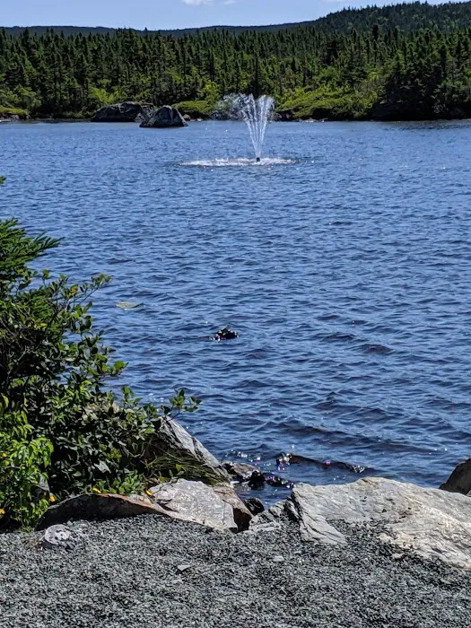 Outside Pond RV Park 6
