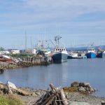 Deer Lake RV Park & Campgrounds