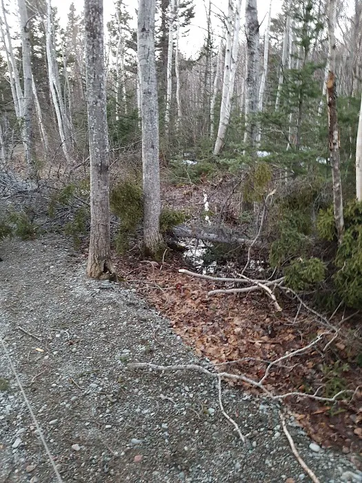 David Smallwood Park 6