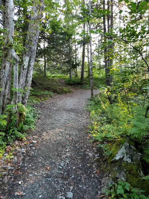 David Smallwood Park 7