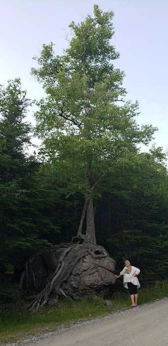 Barachois Pond Provincial Park - Campground 1