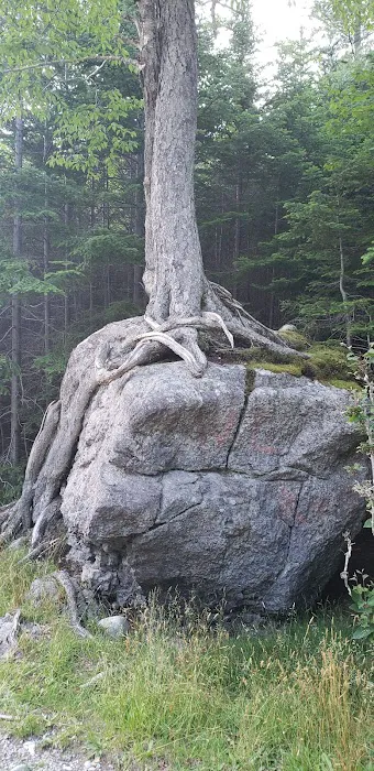 Barachois Pond Provincial Park - Campground 2