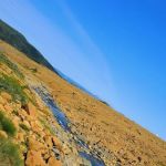 Trout River Campground