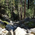 Moses Gulch Campground