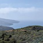 Santa Cruz Island Del Norte Backcountry Campground