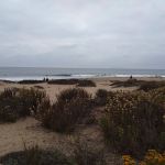 Emma Wood State Beach