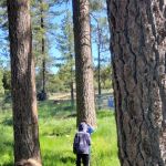 Bandido Group Campground