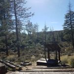 Meadow Group Campground