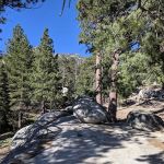 Strawberry Junction Campground