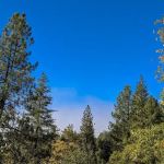 Centennial Oak campground